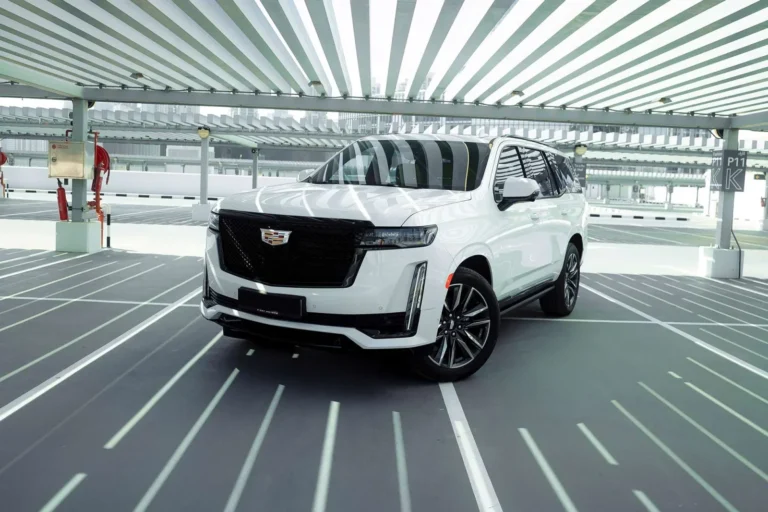 Cadillac Escalade White 2021 Cover Image