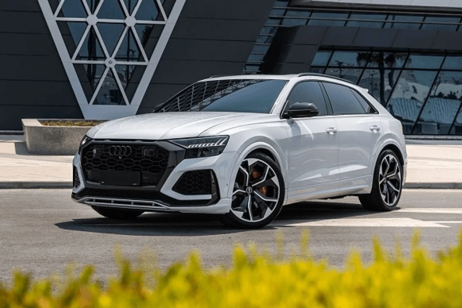 Audi RSQ8 Cover Image