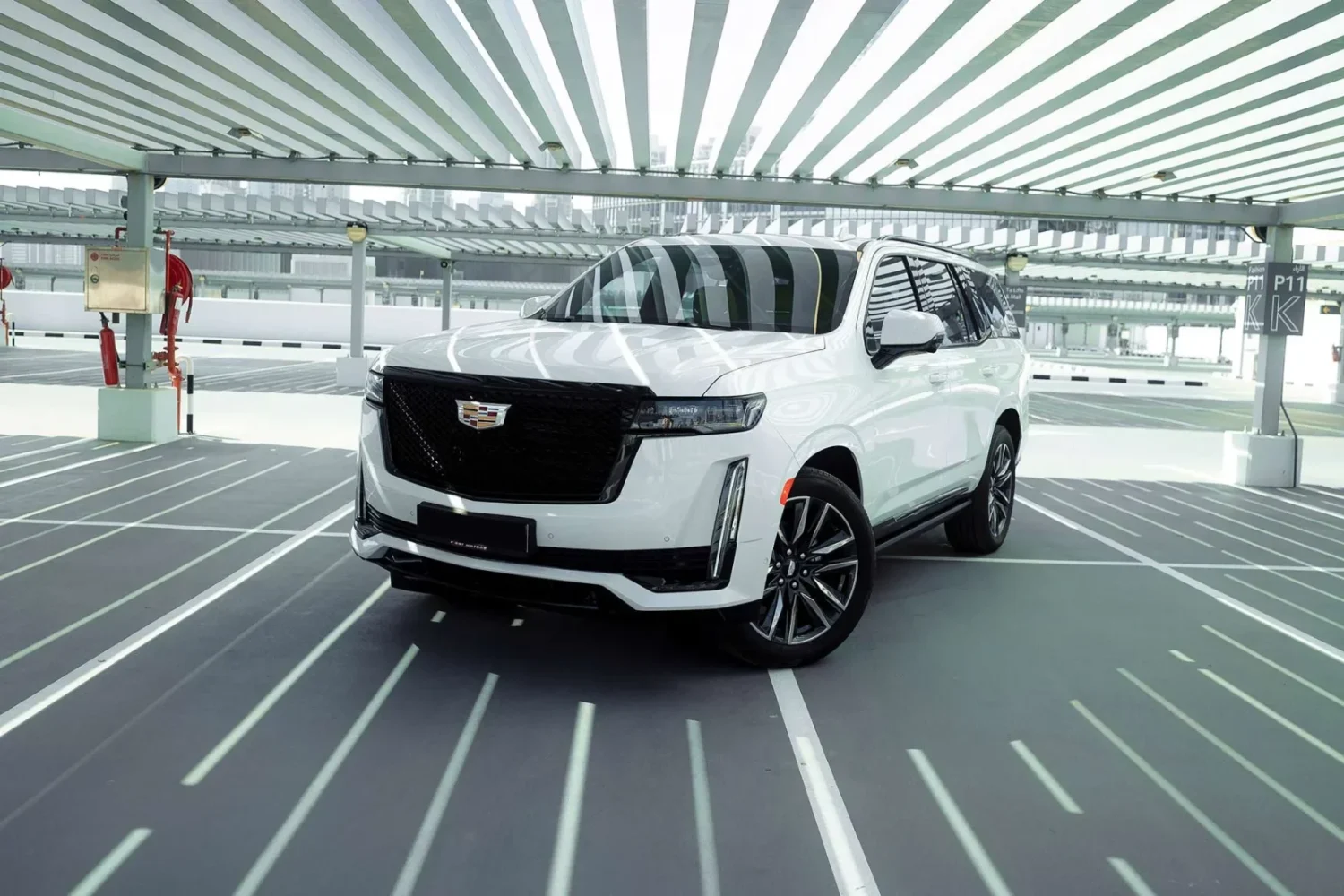 Cadillac Escalade White 2021 Cover Image