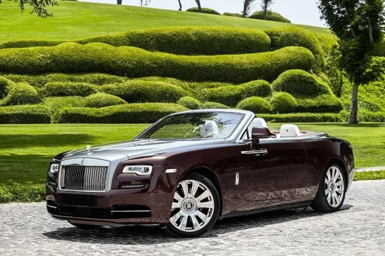 Rolls Royce Dawn 2022 Cover Image