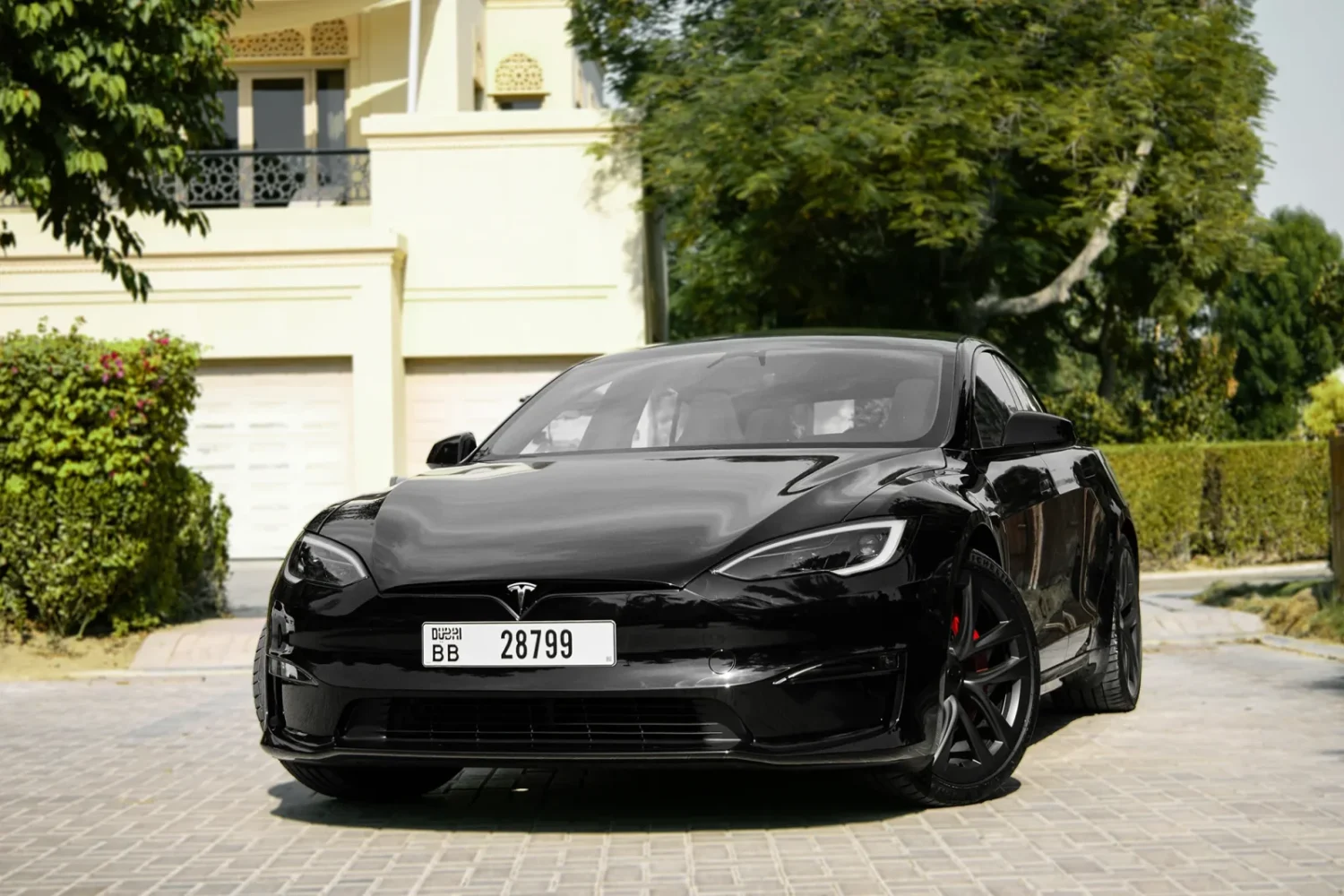Tesla Model S Plaid Black Cover Image